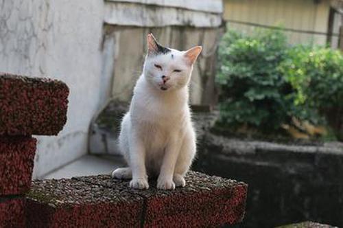 柳志远快步迎上去,主动握了下手:黄兄,这位就是我奶奶.